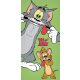 Tom és Jerry fürdőlepedő, strand törölköző Green 70*140cm