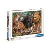 Állatos Wild Cats 500 db-os puzzle Clementoni